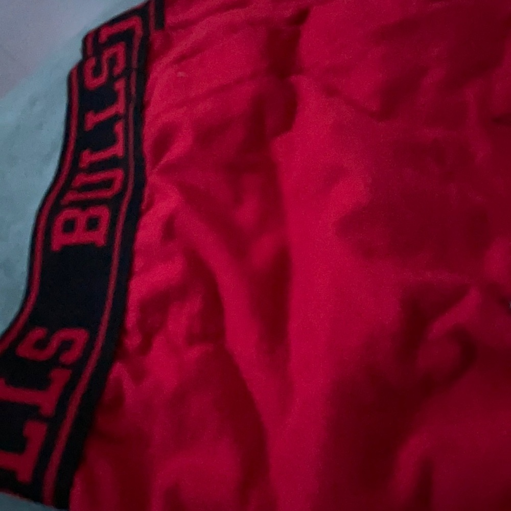 Chicago bulls sweatpants